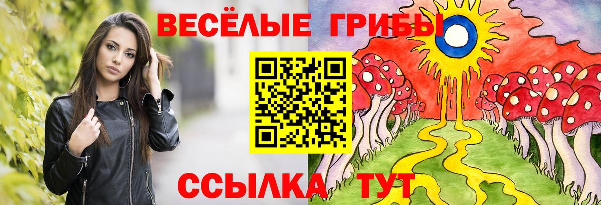 Псилоцибиновые грибы ЛСД Новокубанск