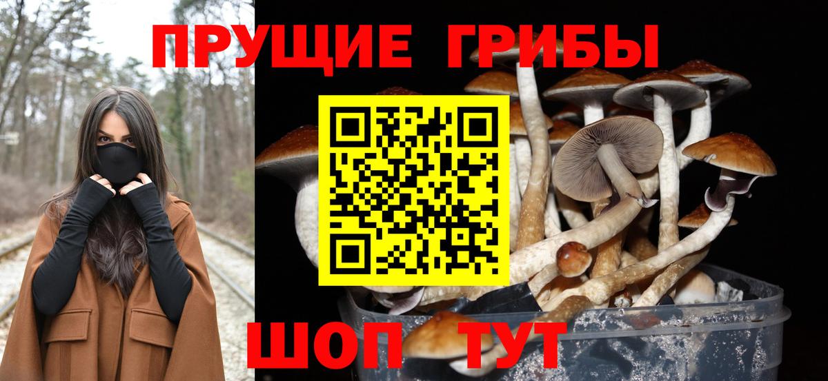 Новокубанск  Псилоцибиновые грибы Magic Shrooms  Вход с VPN 