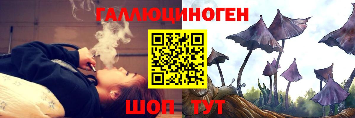 APVP Новокубанск